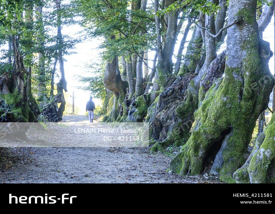 Hemis France allier bourbonnais saint nicolas