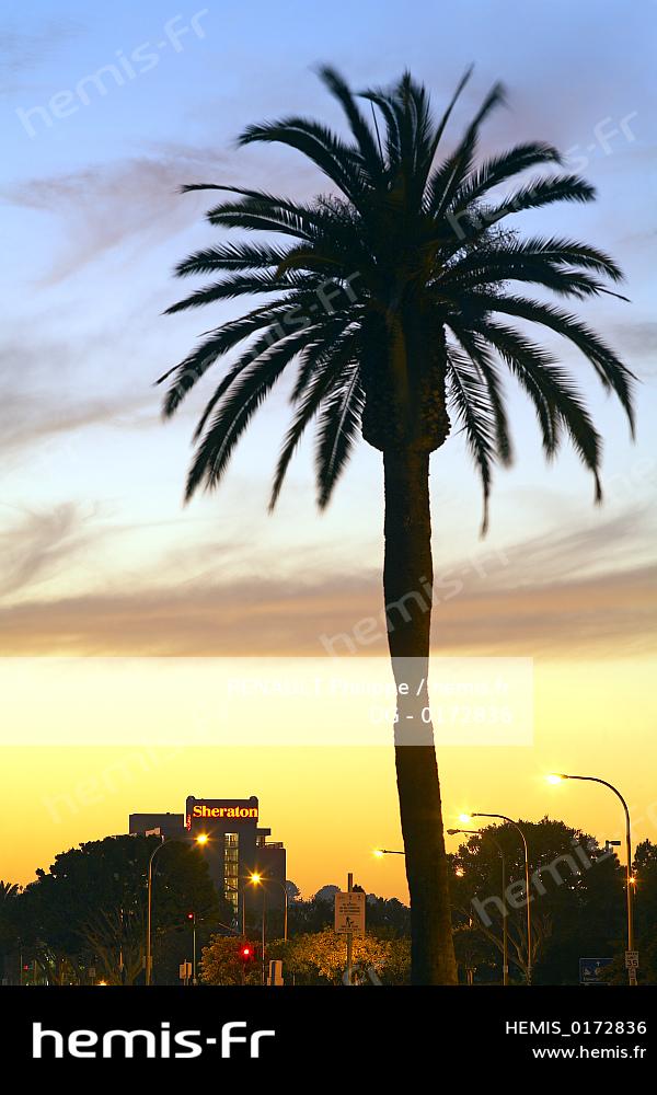 Hemis Etats Unis Californie San Diego Coucher Soleil Pres Hotel Sheraton Palmier