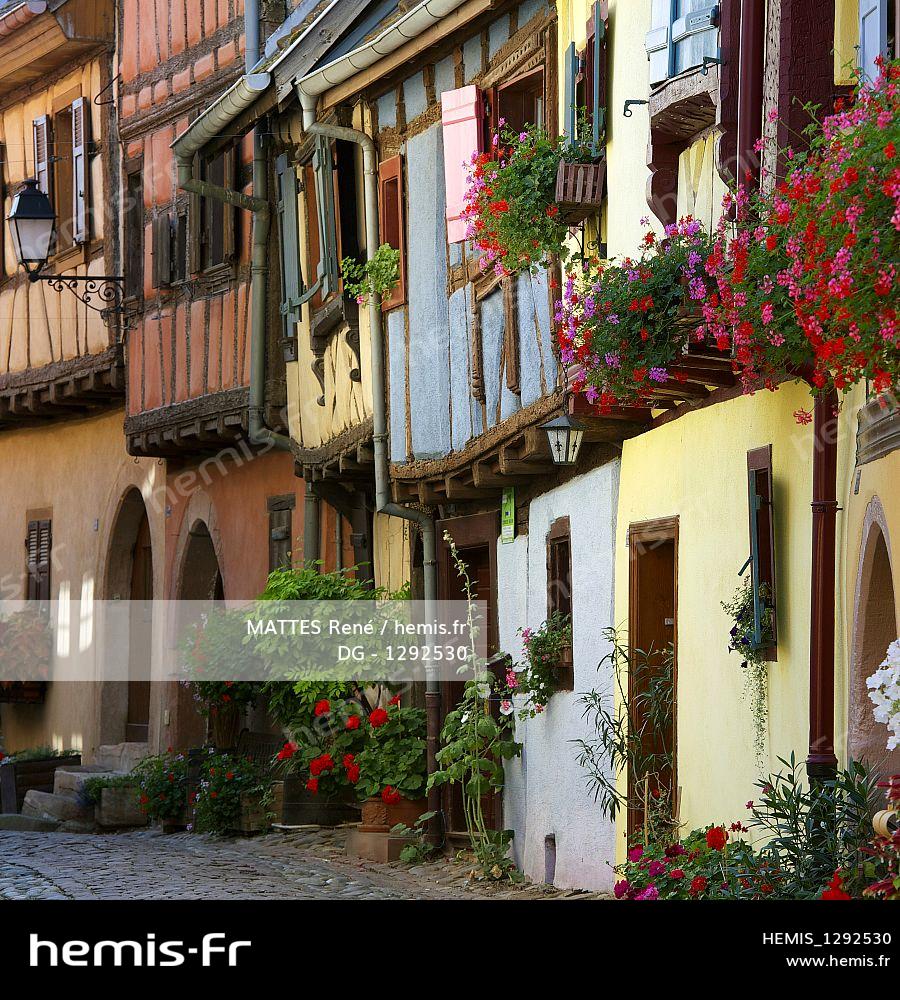Hemis France haut rhin route vins alsace eguisheim beaux villages