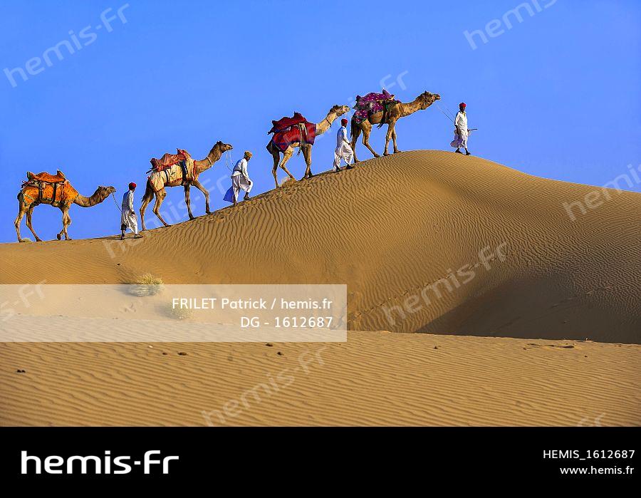 Hemis Inde Etat Rajasthan Jaisalmer Nomades Rajpoutes Caravane Dromadaires Desert Thar