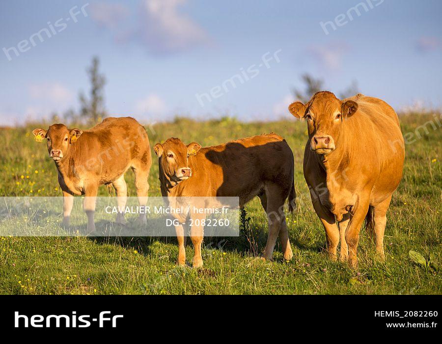 Agri dating puy de dome