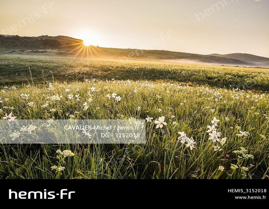 Hemis Stock Photo Agency Specialized Travel Tourism Nature