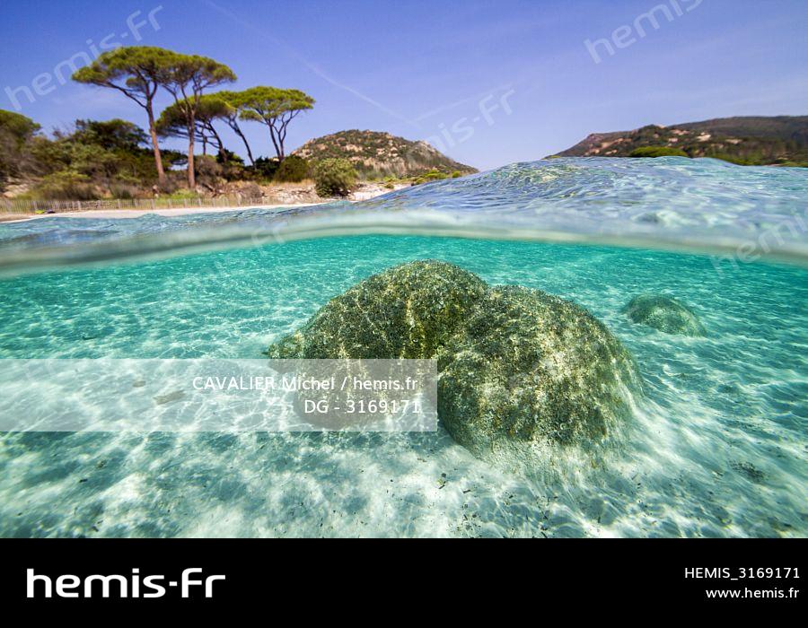 Hemis France Corse Du Sud Porto Vecchio Plage Palombaggia
