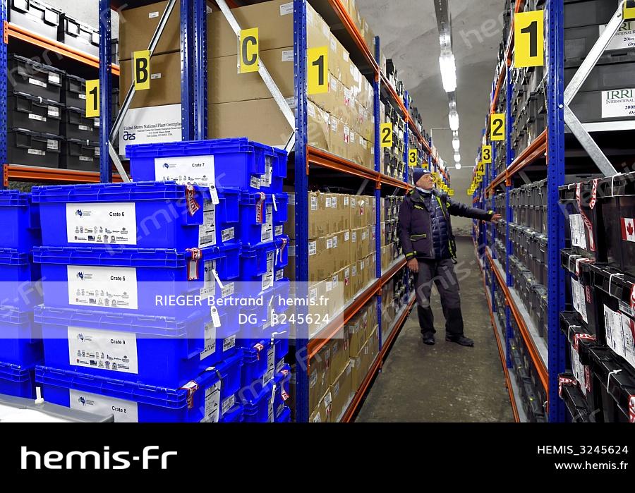 Hemis Norvege Svalbard Spitzberg Longyearbyen Reserve Mondiale Semences Svalbard Banque Graines Global Seed Hemis Norvege Svalbard Spitzberg Longyearbyen Reserve Mondiale Semences Svalbard Banque Graines Global Seed