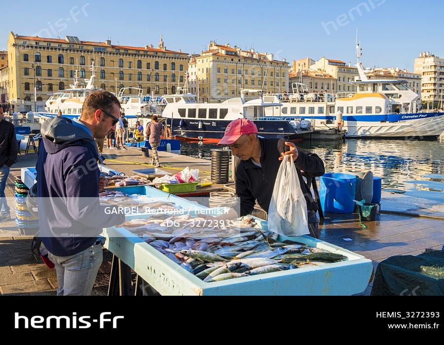 Hemis : France bouches du rhone marseille vieux port marche aux poissons