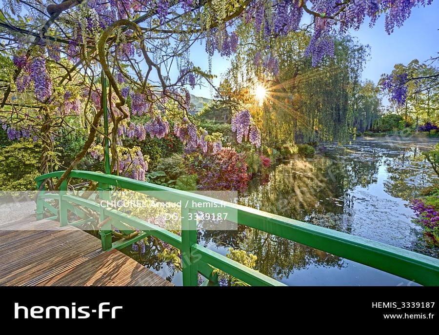 Décoration Murale Peinture Classique 80x60cm - Impression Qualité Musée Sur Châssis Bois Toile Claude Monet Wisteria