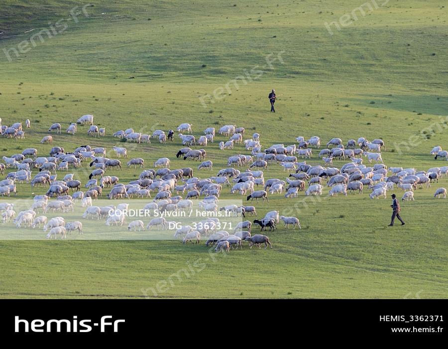 Hemis Chine Mongolie Interieure Province Heibei