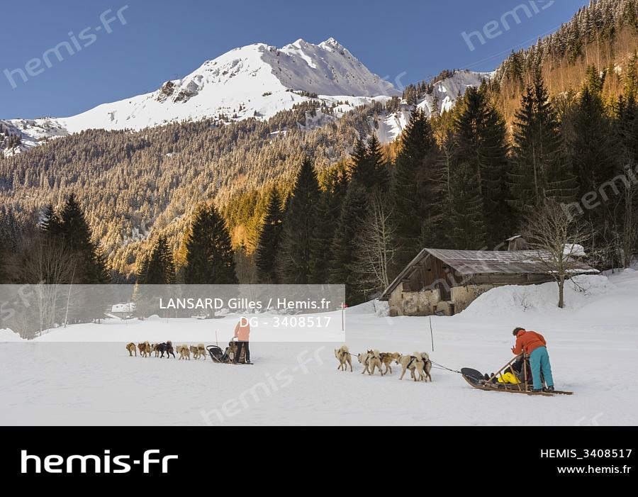Hemis France Haute Savoie Massif Mont Blanc Contamines