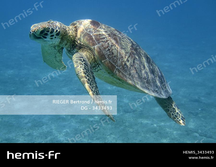 Fédération de Pêche de l'Isère - Pêche en Isère (38