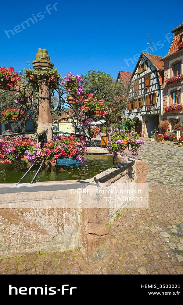Haut Rin Hemis : France haut rhin route vins alsace bergheim fontaine place ...