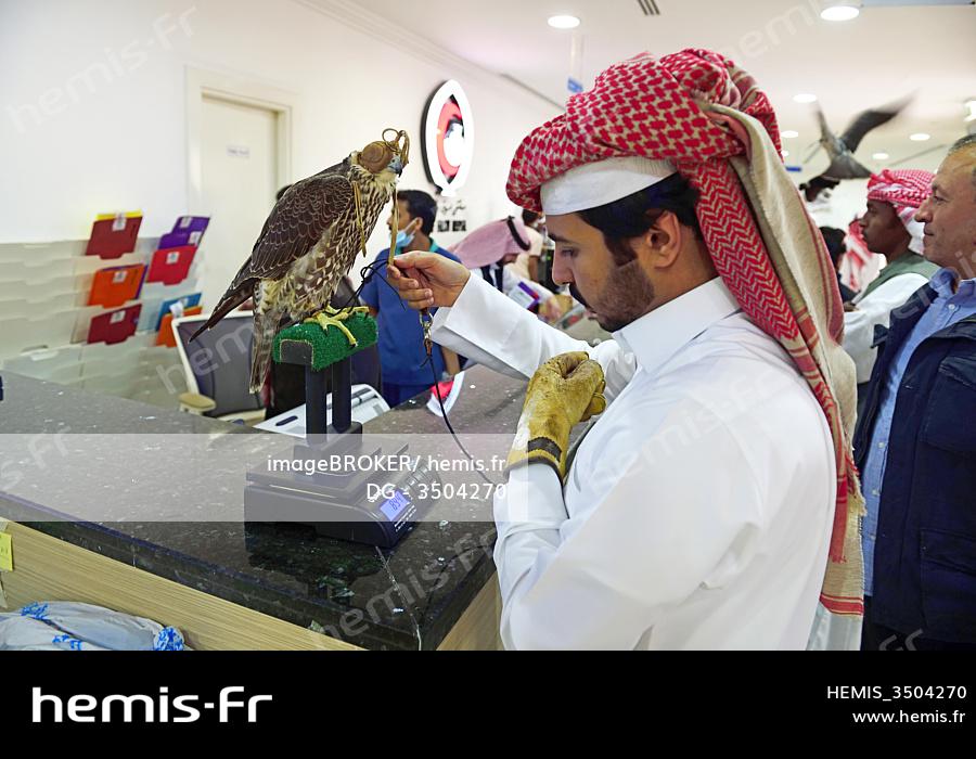 Hemis : Qatar doha souq waqif falcon hospital faucon pese