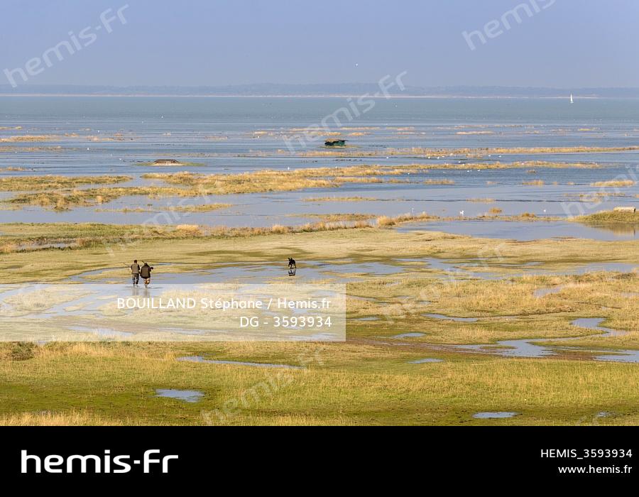 Hemis France somme baie somme saint valery sur somme cap hornu grandes marees baie somme