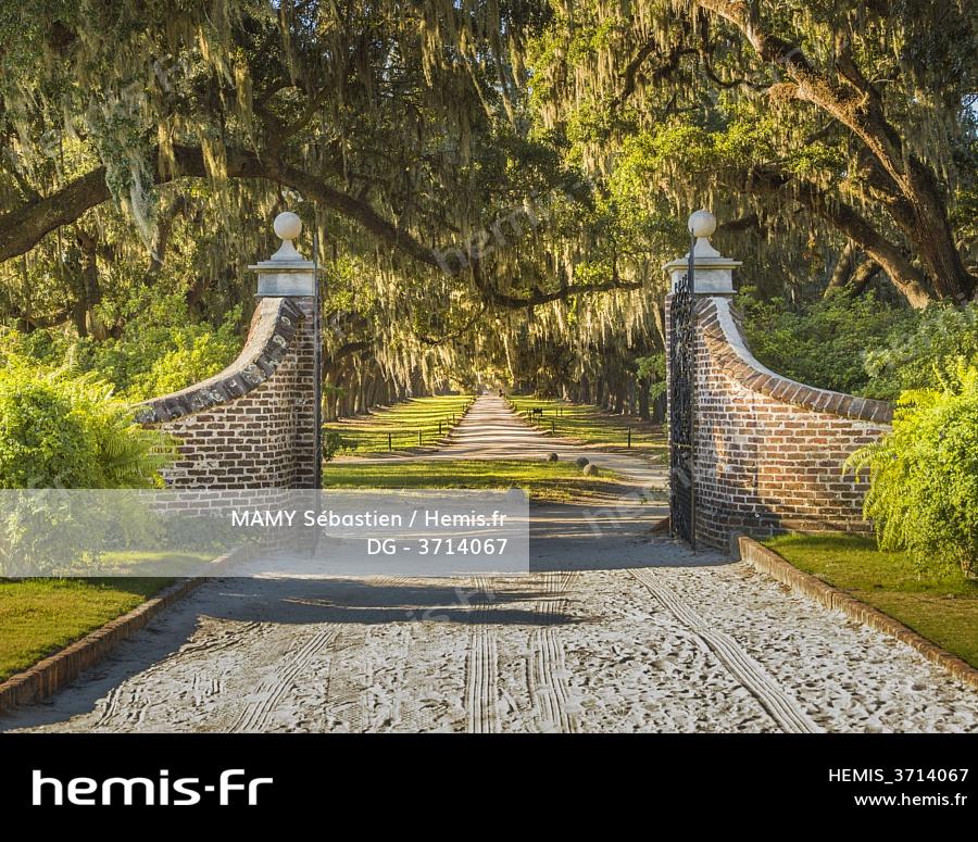 Charleston Botanical Gardens Fasci Garden