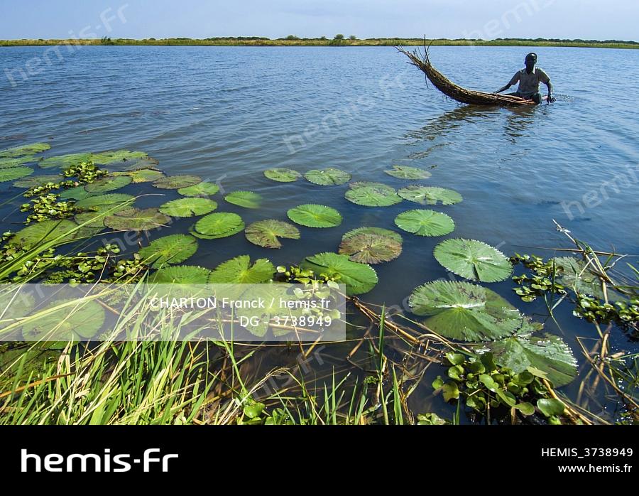 Hemis : Soudan sud kordofan fachoda nil blanc pecheur shilluk esquif ...