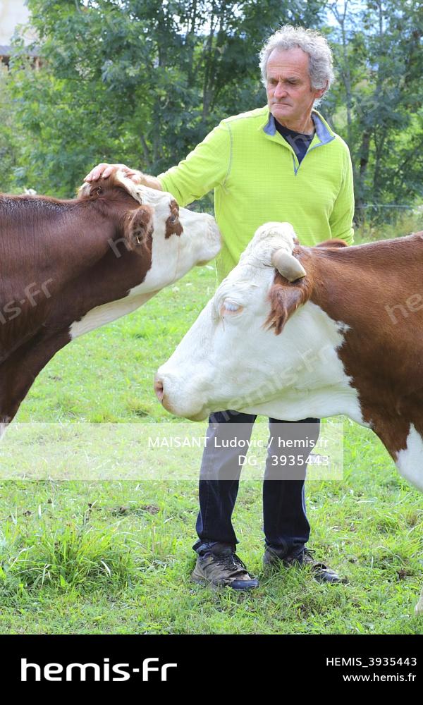 Hemis France isere vercors lans en vercors ferme grand meche pierre