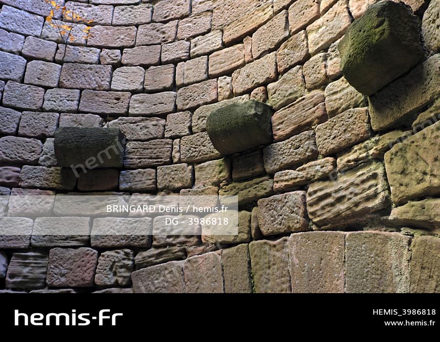 Hemis Corbeau Hemis Corbeau