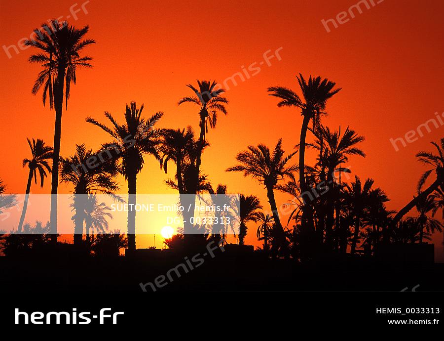 Hemis Maroc Marrakech Coucher Soleil Palmeraie
