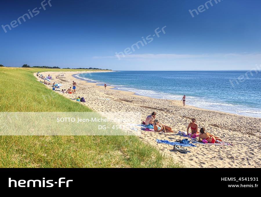 Vendée : de la mort-aux-rats découverte sur une plage sur l'île de  Noirmoutier