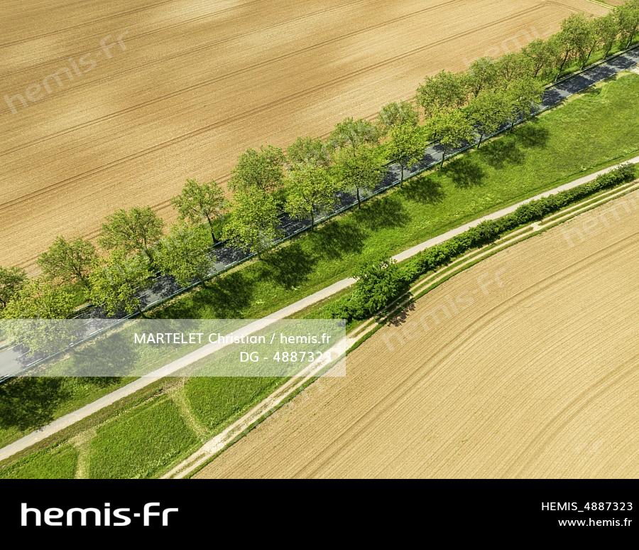 France, Ain (01), Plaine de l'Ain, Saint-Sorlin-en-Bugey, vue aérienne de la campagne environnante (vue aérienne ) 