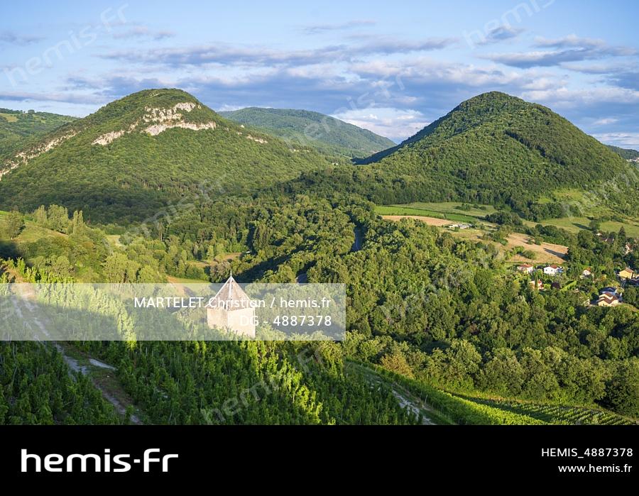 France, Ain (01), Plaine de l'Ain, Crept, vignobles 