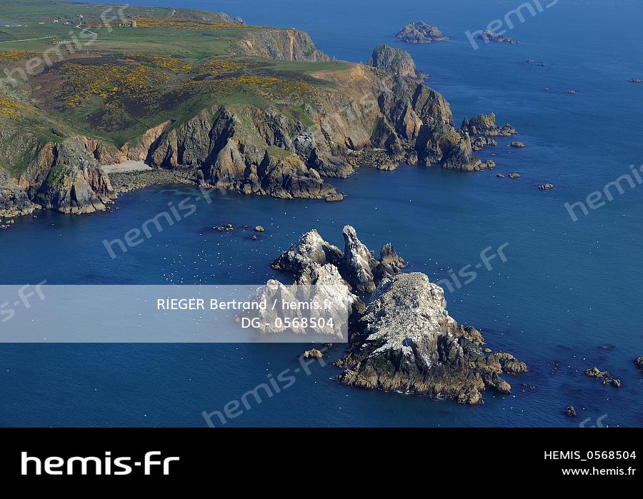 Ile D'aurigny Hemis : Royaume uni iles anglo normandes ile aurigny alderney ilot etacs  abritant colonie fou bassan