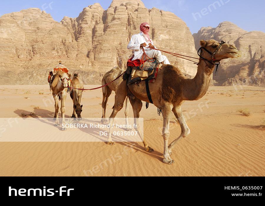 Hemis Jordanie Desert Wadi Rum Unesco Caravane Chameaux Hemis Jordanie Desert Wadi Rum Unesco Caravane Chameaux