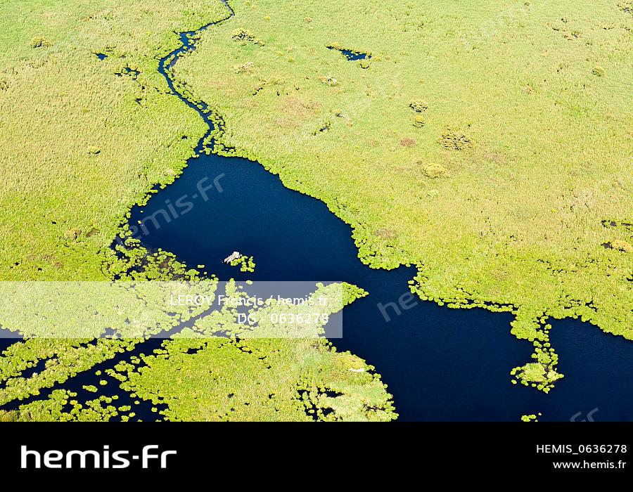 Hemis France Loire Atlantique Chapelle Des Marais Affut Chasse Piarde Plan Eau Grande Briere Parc Naturel